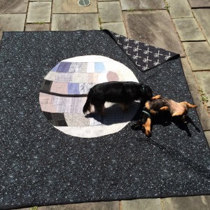 The quilt appears to have passed our local quality control committee